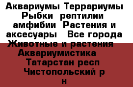 Аквариумы.Террариумы.Рыбки, рептилии, амфибии. Растения и аксесуары - Все города Животные и растения » Аквариумистика   . Татарстан респ.,Чистопольский р-н
